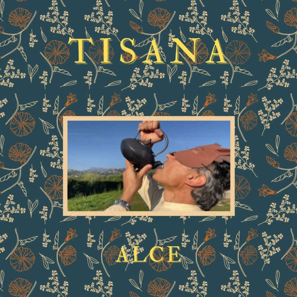 AlCe: venerdì 5 gennaio esce in radio “Tisana” il nuovo singolo